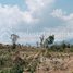  Land for sale in Pursat, Anlong Reab, Veal Veaeng, Pursat