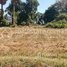  Land for sale in Angk Snuol, Kandal, Chhak Chheu Neang, Angk Snuol