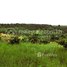  Land for sale in Kratie, Kanhchor, Chhloung, Kratie