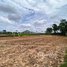  Land for sale in Kampong Speu, Preah Khae, Basedth, Kampong Speu