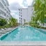 2 Bedroom Apartment for sale at 2-Bedroom Condo for Sale in Rose Apple Square – Siem Reap, Svay Dankum, Krong Siem Reap, Siem Reap