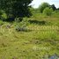  Land for sale in Sala Kamreuk, Krong Siem Reap, Sala Kamreuk