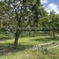  Land for sale in Stung Treng, Stueng Traeng, Stueng Traeng, Stung Treng