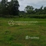 1 បន្ទប់គេង ផ្ទះ for sale in ខេត្តកំពត, ត្រពាំងព្រីង, ទឹកឈូ, ខេត្តកំពត