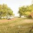  Land for sale in Siem Reap, Svay Dankum, Krong Siem Reap, Siem Reap