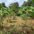  ដី for sale in កៀនស្វាយ, ខេត្តកណ្ដាល, Samraong Thum, កៀនស្វាយ