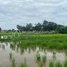  ដី for sale in Praek Pnov, ភ្នំពេញ, Ponhea Pon, Praek Pnov