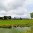  Land for sale in Kampong Cham, Sdaeung Chey, Cheung Prey, Kampong Cham
