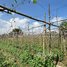  Land for sale in S'ang, Kandal, Setbou, S'ang