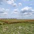  Land for sale in Angk Snuol, Kandal, Damnak Ampil, Angk Snuol