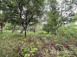  Land for sale in Stung Treng, Kbal Romeas, Sesan, Stung Treng