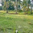  ដី for sale in ខេត្តកំពត, កូនសត្វ, ទឹកឈូ, ខេត្តកំពត