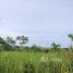  Land for sale in Mondul Kiri, Romonea, Saen Monourom, Mondul Kiri