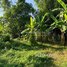  Land for sale in Khsach Kandal, Kandal, Kaoh Chouram, Khsach Kandal