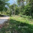  Land for sale in Prey Nob, Preah Sihanouk, Ream, Prey Nob