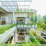 3 Bedroom House for sale in Krabei Riel, Krong Siem Reap, Krabei Riel