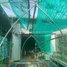 1 Bedroom House for sale in Kampong Cham, Ro'ang, Kampong Siem, Kampong Cham