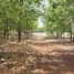  Land for sale in Kratie, Pir Thnu, Snuol, Kratie