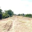 Land for sale in Preah Vihear, Kampong Pranak, Preah Vihear, Preah Vihear