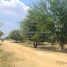  Land for sale in Kamrieng, Battambang, Boeng Reang, Kamrieng