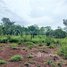  Land for sale in Mondul Kiri, Romonea, Saen Monourom, Mondul Kiri