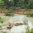  Land for sale in Rotonak Mondol, Battambang, Reaksmei Songha, Rotonak Mondol