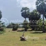  Land for sale in Pursat, Chheu Tom, Krakor, Pursat