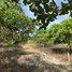  Land for sale in Kampong Thom, Boeng Lvea, Santuk, Kampong Thom