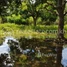 Land for sale in Sla Kram, Krong Siem Reap, Sla Kram