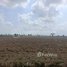  Land for sale in Banteay Meanchey, Ou Ambel, Serei Saophoan, Banteay Meanchey