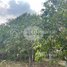  Land for sale in S'ang, Kandal, Preaek Koy, S'ang
