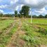  Land for sale in Kampot, Samlanh, Angkor Chey, Kampot