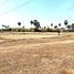  Land for sale in Praek Pnov, Phnom Penh, Kouk Roka, Praek Pnov