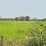  ដី for sale in កៀនស្វាយ, ខេត្តកណ្ដាល, ឃុំបន្ទាយដែក, កៀនស្វាយ