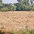  Land for sale in Oddar Meanchey, Kouk Mon, Banteay Ampil, Oddar Meanchey