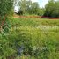  Land for sale in Sla Kram, Krong Siem Reap, Sla Kram