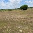  Land for sale in Kampong Speu, Khsem Khsant, Odongk, Kampong Speu