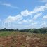  Land for sale in Pailin, Stueng Kach, Sala Krau, Pailin