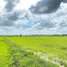  Land for sale in Prey Veng, Kansoam Ak, Kampong Trabaek, Prey Veng