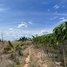  Land for sale in Kampong Thom, Boeng Lvea, Santuk, Kampong Thom