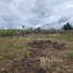  Land for sale in Mondul Kiri, Srae Ampum, Pech Chreada, Mondul Kiri