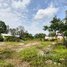  ដី for sale in ស្រុកសៀមរាប, ខេត្តសៀមរាប, ឃុំស្លក្រាម, ស្រុកសៀមរាប