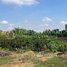  ដី for sale in សំរោងក្រោម, ខណ្ឌ​ពោធិ៍សែនជ័យ, សំរោងក្រោម