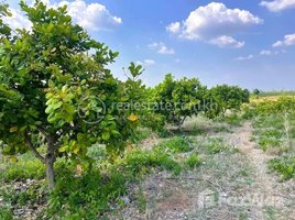  Land for sale in Stung Treng, Ou Svay, Thala Barivat, Stung Treng