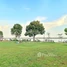  Land for sale in Lvea Aem, Kandal, Peam Oknha Ong, Lvea Aem