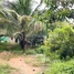 Studio Warehouse for sale in Kampong Thom, Ballangk, Baray, Kampong Thom