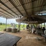 1 Bedroom House for sale in Batheay, Kampong Cham, Tang Krasang, Batheay