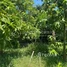  Land for sale in Kandal, Kampong Svay, Kien Svay, Kandal