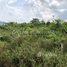  Land for sale in Kampot, Stueng Kaev, Tuek Chhou, Kampot