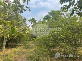  Land for sale in Preaek Koy, S'ang, Preaek Koy